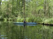 ...finden das Teil spassig.
